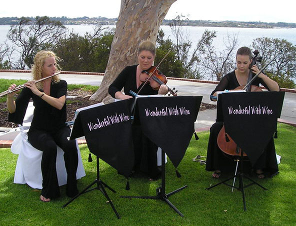 String Quartet Perth - Wonderful With Wine - Musicians